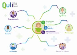 Quli schematische weergave - Persoonlijke gezondheidsomgeving